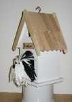 Beardie Birdhouse