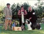 "Cassidy"AM/CAN CH Britannia Living Up To Her Name, HIC(CH HC Britannia Chip Thrills, CD, NA X AM/CAN CH Britannia How Sweet It Is, CD, PT)
June 10, 1998 ~ December 2, 2009
Bred by:  Michele Ritter and Chet Jezierski, Britannia 
