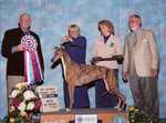AM/CAN/Grand MEX/MEX/INT/Latin AM/ARG/Las AM/Grand Costa Rican/ Costa Rican/Pan AM CH Gerico's Hawthorn Winsor RoseJuly 17, 2001 ~ 2011